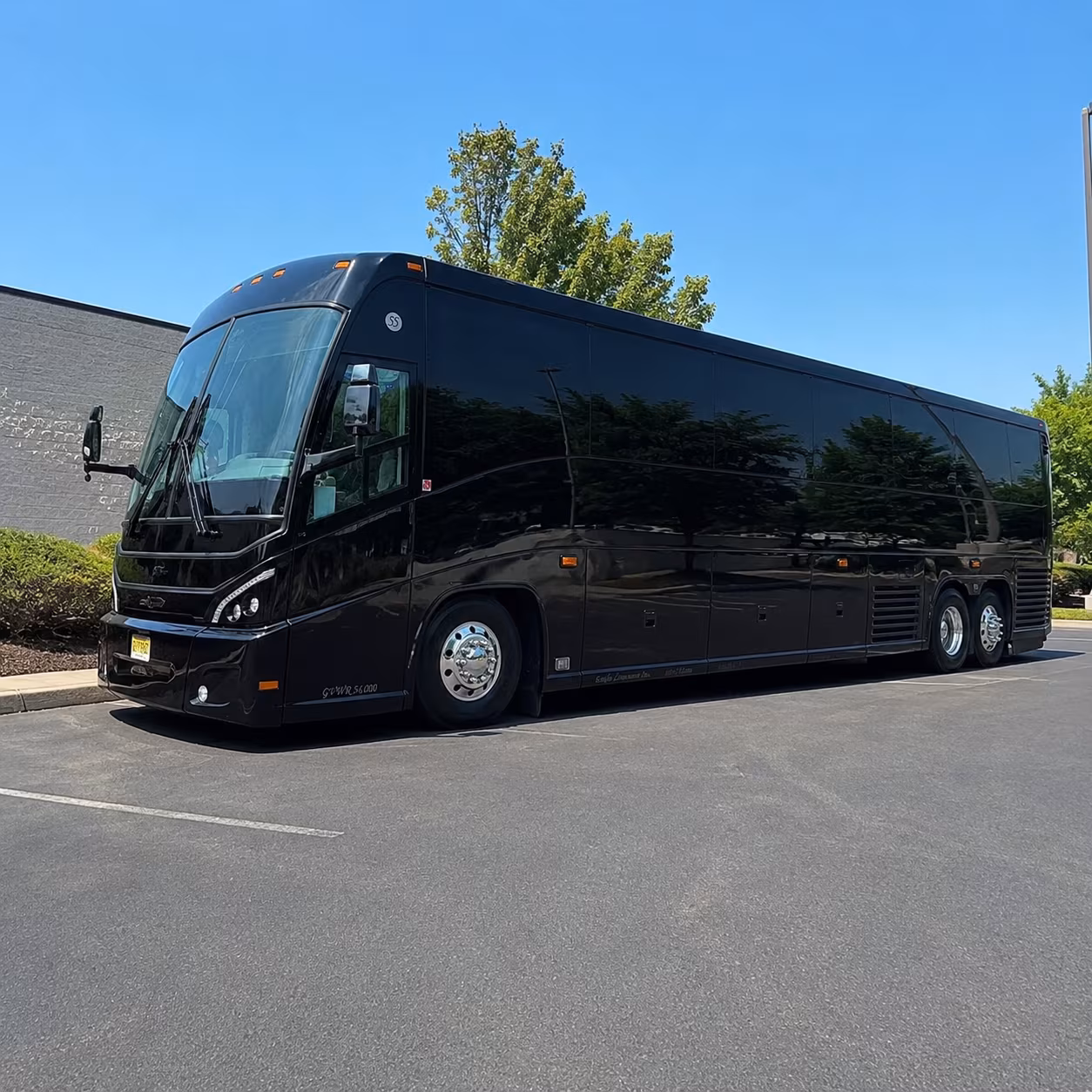 mckinney charter buses